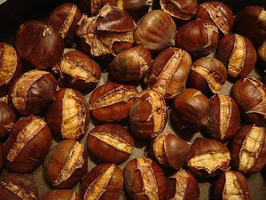 Sweet Chestnut (price is for 10 plants)